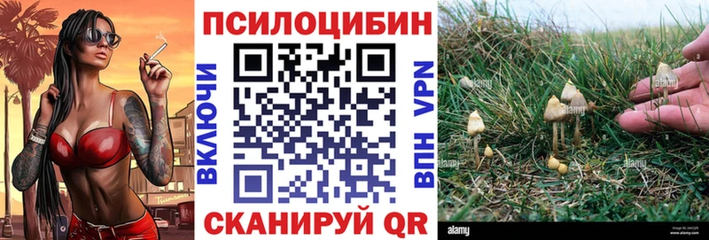 Псилоцибиновые грибы ЛСД  Шацк 